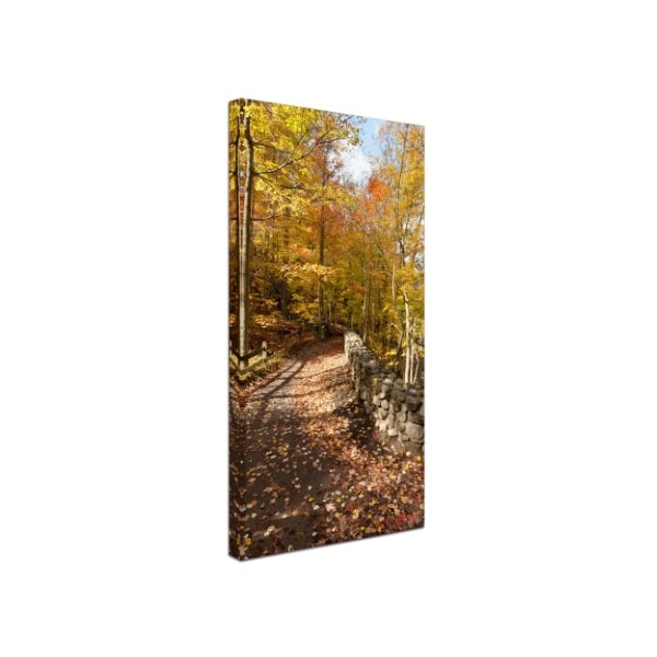 Kurt Shaffer 'Beautiful Autumn Hike' Canvas Art,10x19